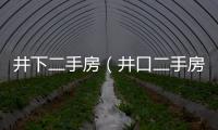 井下二手房（井口二手房）