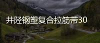 井陘鋼塑復合拉筋帶30020B電話
