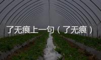 了無痕上一句（了無痕）
