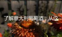 了解意大利葡萄酒，從這里開始