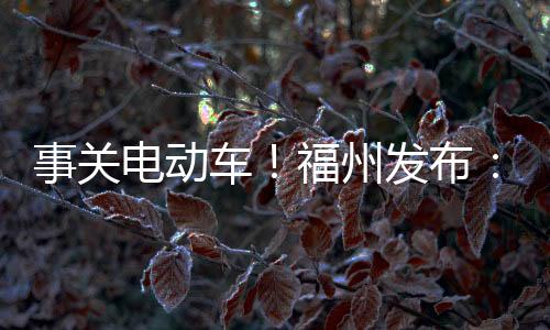 事關(guān)電動車！福州發(fā)布：三個嚴(yán)禁！