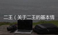 二王（關于二王的基本情況說明介紹）