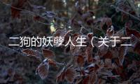 二狗的妖孽人生（關(guān)于二狗的妖孽人生的基本情況說明介紹）