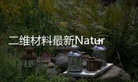 二維材料最新Nature: 二維鹵化物鈣鈦礦橫向外延異質結構 – 材料牛