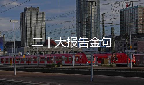 二十大報(bào)告金句