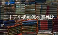 二十天小奶狗怎么喂養(yǎng)比較好(二十天小奶狗怎么養(yǎng)活)