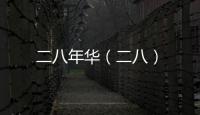 二八年華（二八）