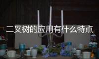 二叉樹的應(yīng)用有什么特點(diǎn) 二叉樹的定義