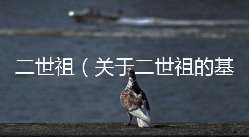 二世祖（關(guān)于二世祖的基本情況說明介紹）
