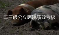 二三級公立醫院績效考核成績大pk