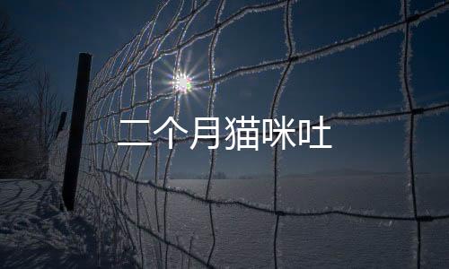 二個(gè)月貓咪吐