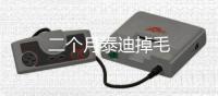 二個月泰迪掉毛