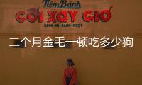 二個月金毛一頓吃多少狗糧(二個月金毛吃多少狗糧)