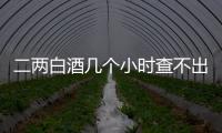 二兩白酒幾個小時查不出來（2兩白酒要多久查不出來）