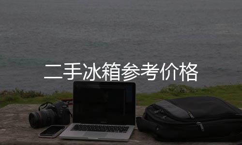 二手冰箱參考價格