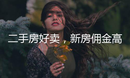 二手房好賣，新房傭金高：貝殼財報里的樓市秘密