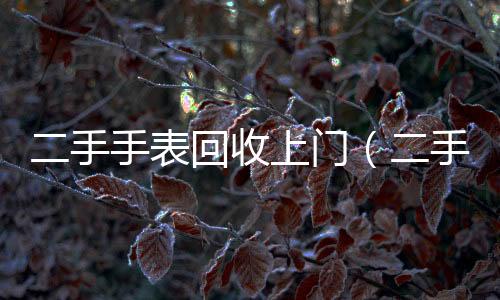 二手手表回收上門（二手手表回收上門電話）