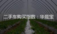 二手車購買指數：華晨寶馬X3
