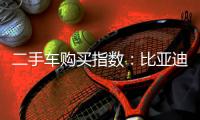 二手車(chē)購(gòu)買(mǎi)指數(shù)：比亞迪漢