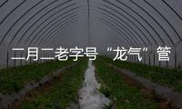 二月二老字號“龍氣”管夠 炸油糕供應2萬個