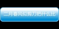 二月春風(fēng)似剪刀把什么比作什么  詩人把二月春風(fēng)比作