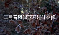 二月春風似剪刀是什么修辭手法 二月春風似剪刀的修辭手法