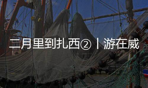 二月里到扎西②丨游在威信，和春天有個(gè)約會(huì)