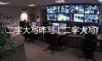 二字大寫咋寫（二字大寫）
