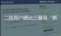 二孩用戶曬出三翼鳥“新居住”樣板間:學習生活兩不誤