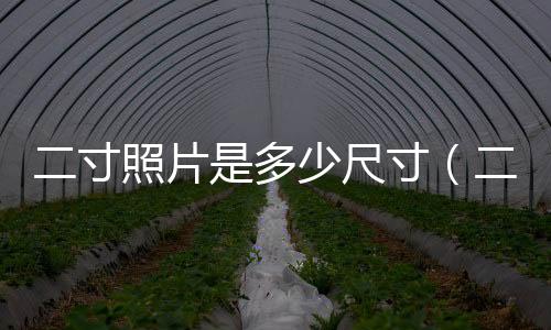 二寸照片是多少尺寸（二寸照片的尺寸圖片）