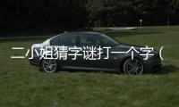 二小姐猜字謎打一個字（猜字謎二小姐是什么字）