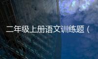 二年級上冊語文訓(xùn)練題（人教版二年級上冊語文練習(xí)題）