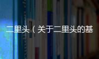 二里頭（關(guān)于二里頭的基本情況說明介紹）