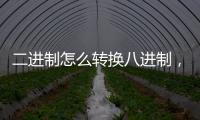 二進制怎么轉換八進制，二進制如何轉換成八進制，八進制如何轉成二進制