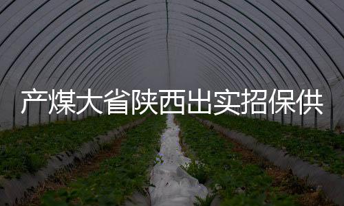 產(chǎn)煤大省陜西出實(shí)招保供穩(wěn)價(jià)