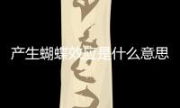 產(chǎn)生蝴蝶效應是什么意思（蝴蝶效應是什么意思）