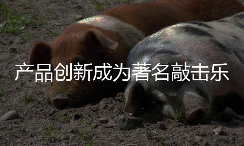 產品創新成為著名敲擊樂器品牌“揚眉吐氣”的法寶
