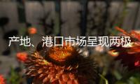 產地、港口市場呈現兩極分化
