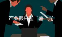 產(chǎn)業(yè)振興迎“薯”光