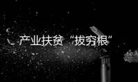 產業扶貧“拔窮根”