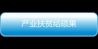 產業扶貧結碩果