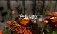 產(chǎn)業(yè)洞察