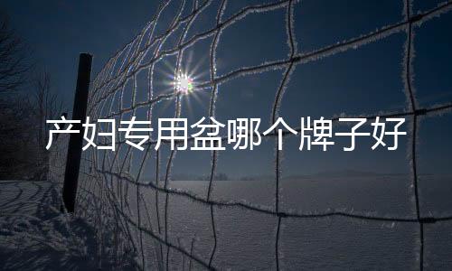 產(chǎn)婦專用盆哪個牌子好