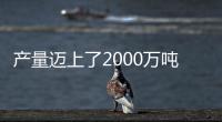 產量邁上了2000萬噸臺階后，大豆收購價高開低走，后市如何？