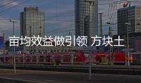 畝均效益做引領 方塊土地見真章