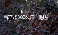 畝產(chǎn)超300公斤！耐鹽大豆新品系再獲高產(chǎn)—新聞—科學網(wǎng)