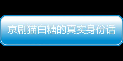 京劇貓白糖的真實(shí)身份話本小說（京劇貓白糖的真實(shí)身份）