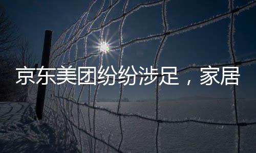 京東美團紛紛涉足，家居零售新物種來日可期（圖）