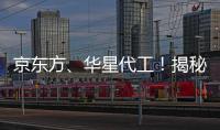 京東方、華星代工！揭秘Motorola翻蓋式的柔性AMOLED折疊屏,企業經營