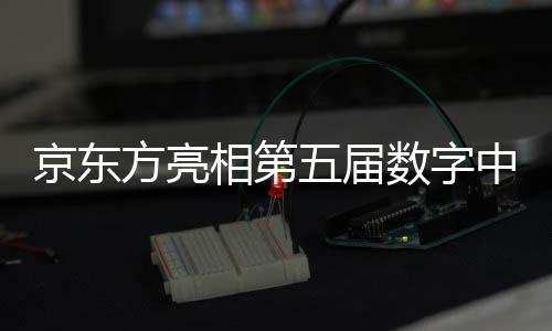 京東方亮相第五屆數字中國建設成果展